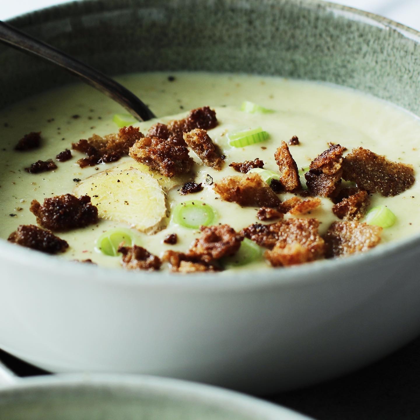 Schwarzwurzel-Cremesuppe mit Ingwer und Knäckebrot-Croûtons - Campo Verde