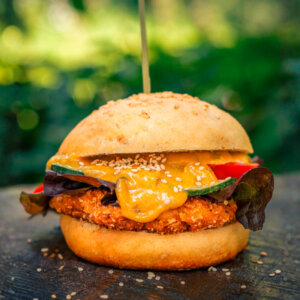 Campo Verde Demeter Produktbundle "Crispy-Bean-Burger"